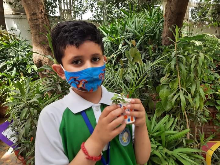 GREEN DAY CELEBRATION